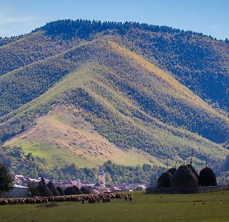 Picturesque Village In Transylvania Răşinari Cameră foto