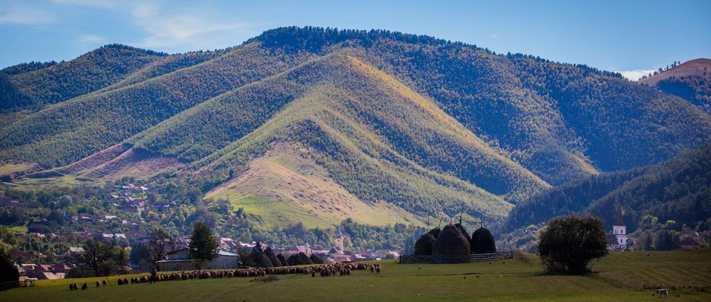 Picturesque Village In Transylvania Răşinari Cameră foto
